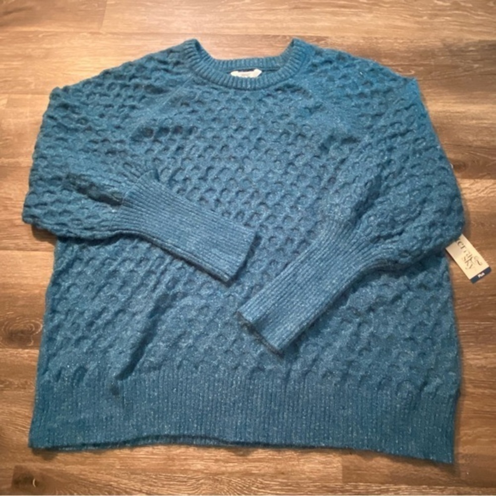 Terra & Sky Sweater Women’s Size 2X Balloon Sleeve Blue New With Tags
